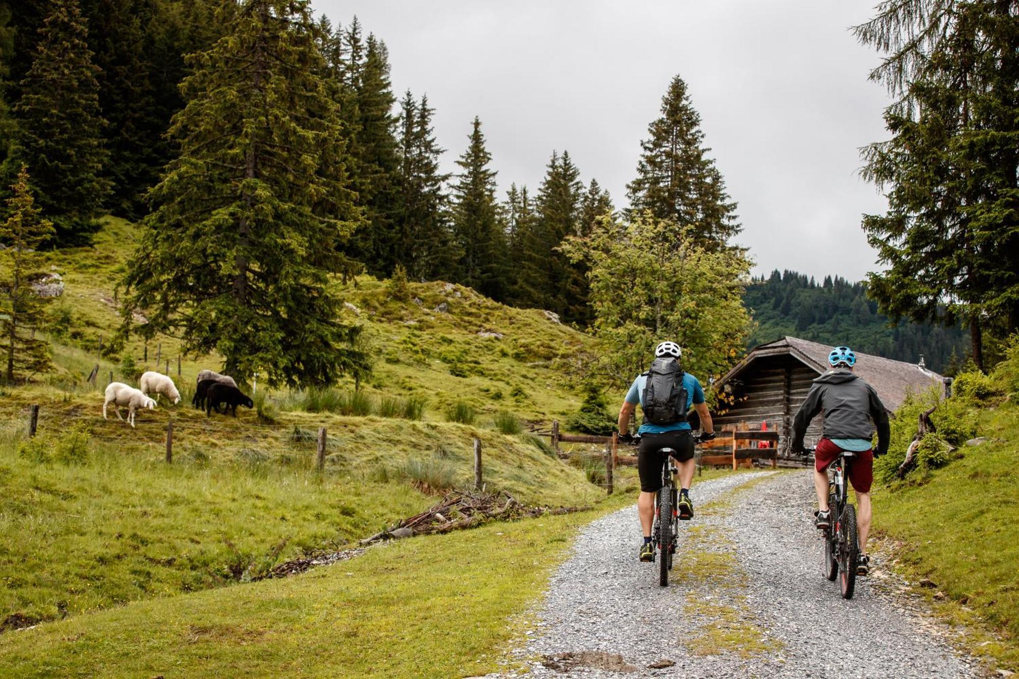 Ferienhaus Sommerbichl Zell am See Ngoại thất bức ảnh